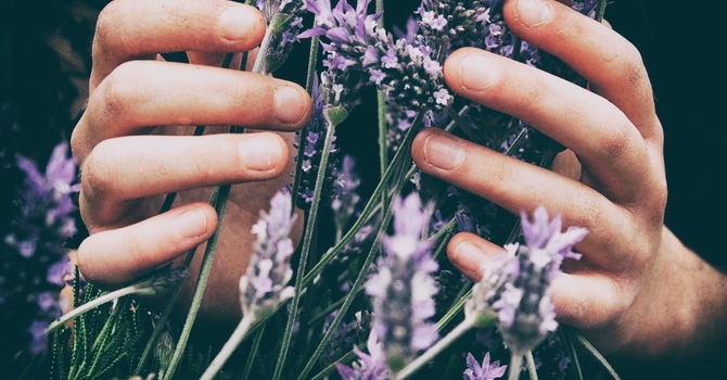 Holistic Mind-Body Doctor